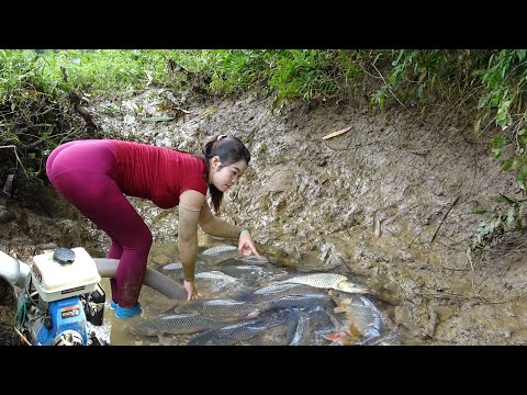 Fishing Techniques, How to Catch Fish in the Wild, Fishing