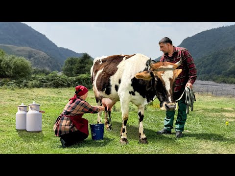 A Dish Made From Homemade Village Milk Quiet Life In The
