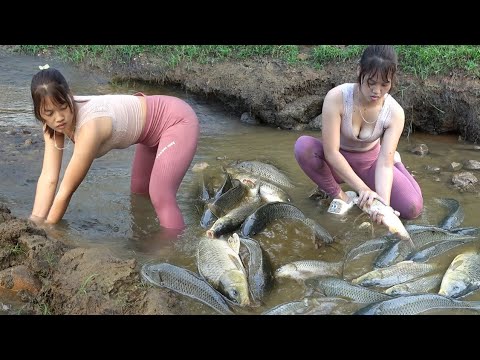 Top Fishing Videos: Survival Skill, Fishing Techniques,