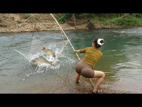 Fishing Video: Traditional Net Fishing Used Bait To Lure