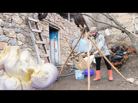 Soğuk Bir Kış Gününde Dağ Köyünde Geleneksel Yayıkla Keçi
