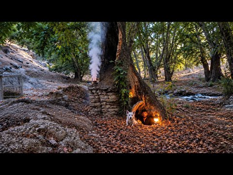 I Built a Hidden Cabin Inside a Giant Hollow Tree