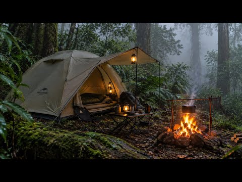 Escaping the Crowds Cozy Forest Camping, Campfire Cooking