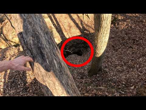 180FT Sinkhole Reported Next To Hiking Trail, And We Went