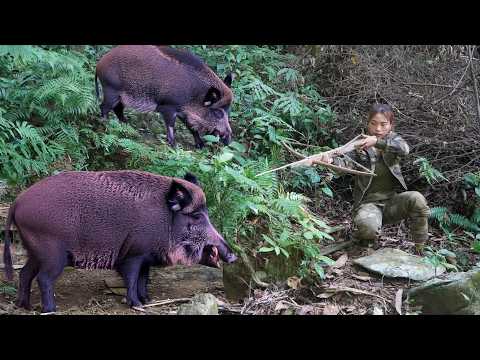 Skills in chasing wild boars, building shelters, and