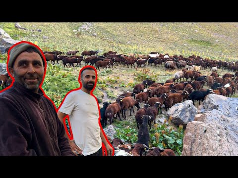 MİSAFİRİMİZ GünayAntakya1 İLE BİRLİKTE DAĞLARDAYIZ- ERKEK
