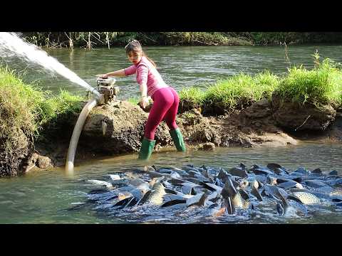 How To Catch Fish In The Wild | Catching Many Big Fish