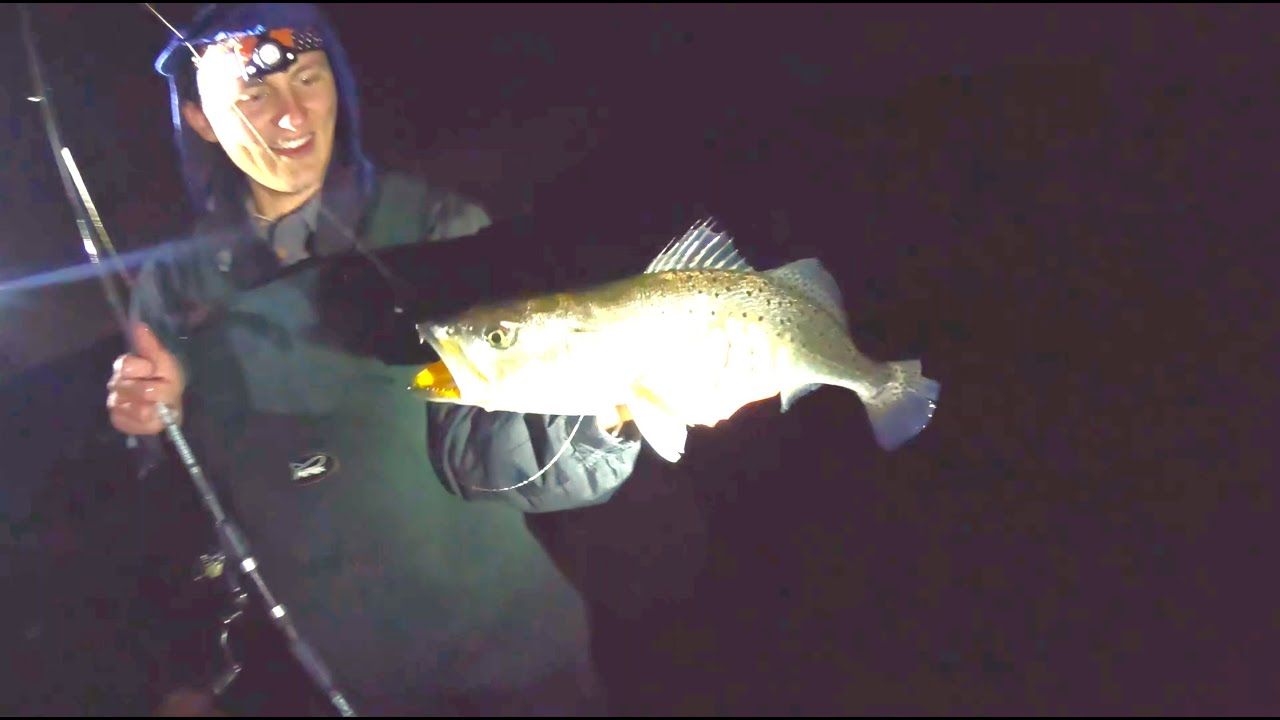 Catching Big Speckled Trout at Night