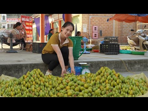 Harvest forest fruits and bring them to the market to sell,