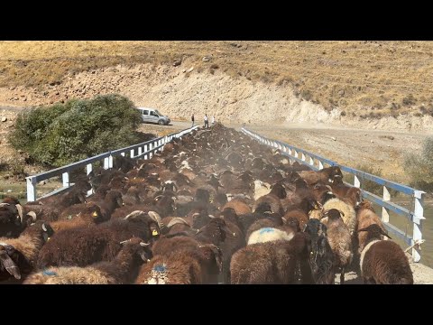 SIKINTILI KÖY - KÖPRÜDEN GEÇMEMİZE İZİN VERMEDİLER