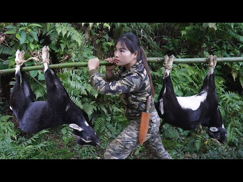 wild goat traces, trap making skills to catch wild goats,