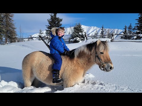 Stranded on 120 yr Old Off-Grid Homestead (4 Days Hunting