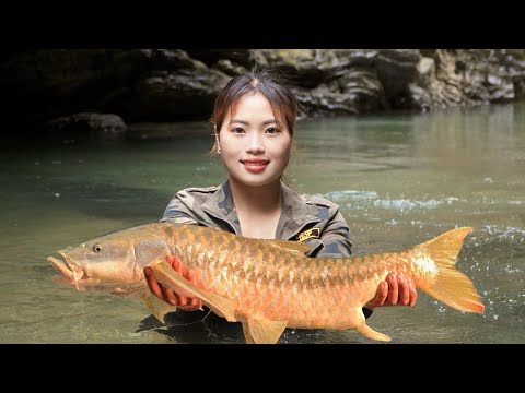 Giant stream fish, fish catching skills, survival alone