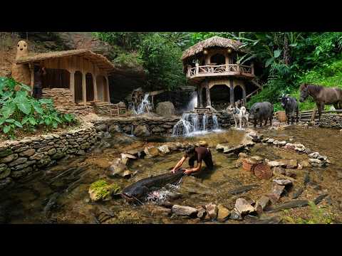 Amazing Fish Trap Catches a Lot of Fish Building Kitchen