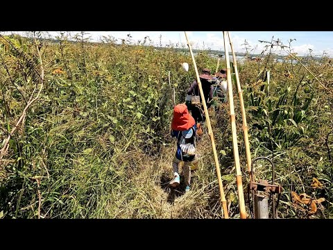 Rasgando mato no peito até chegar no melhor ponto de Pesca