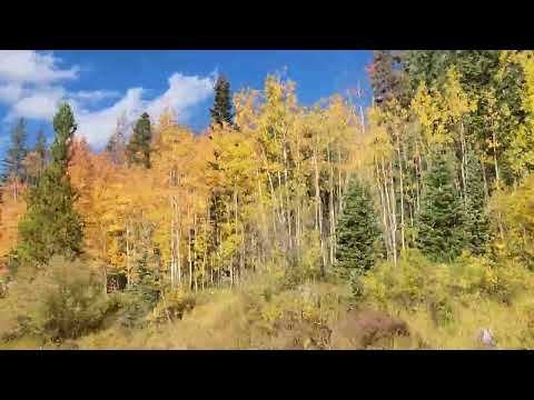 Buena Vista, Colorado Sept 21, 2024