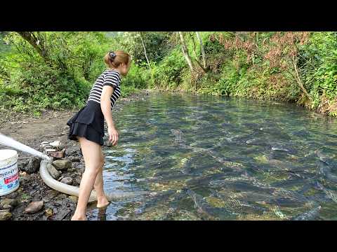 TOP VIDEOS: Fishing Techniques, Greatest Fishing, Survival