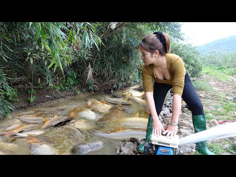 The Simplest Fishing by a Girl | Fishing Techniques,