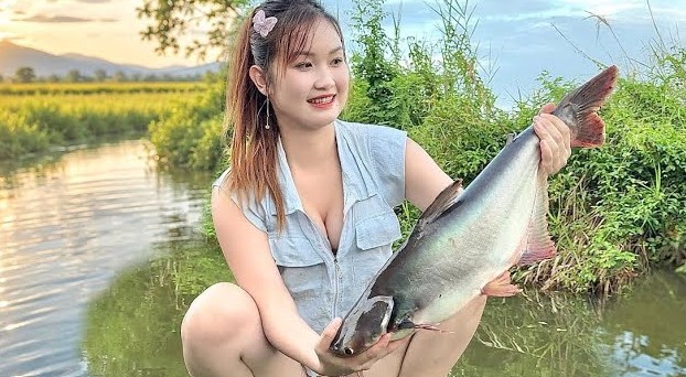 GIĂNG CÂU VIỀN Săn Cá Lớn Dưới Đám Rau Nhút Ngày Mưa Bão