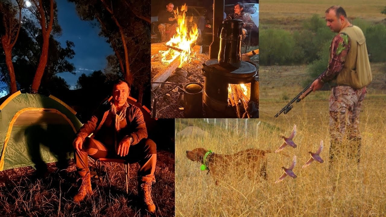 2024 YENİ SEZON BILDIRICIN AVI KAMPIQUAIL HUNTAV KÖPEĞİ