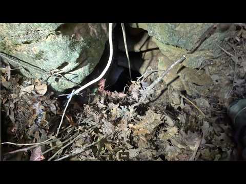 200ft Deep Sinkhole Behind 911 Center With Bones At The