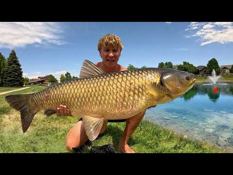 I Hunted GIANT Fish in TINY Ponds