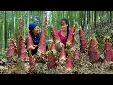 Processing 500KG Of Red Bamboo Shoots To Market Sell