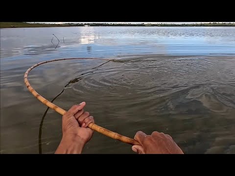 Parecia que eu estava Pescando no aquário de tanto peixe na