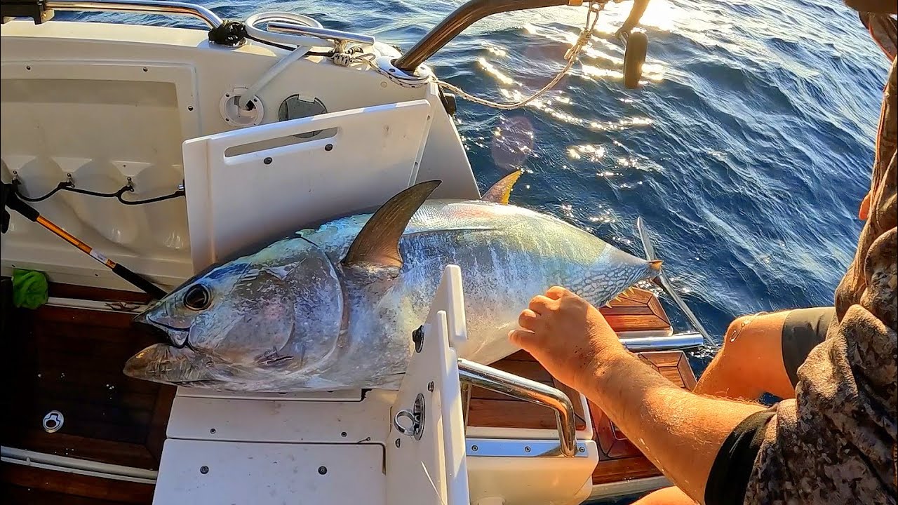 Antalya'dan Gelip Orkinosa Doydular / Crazy Bluefin Tuna
