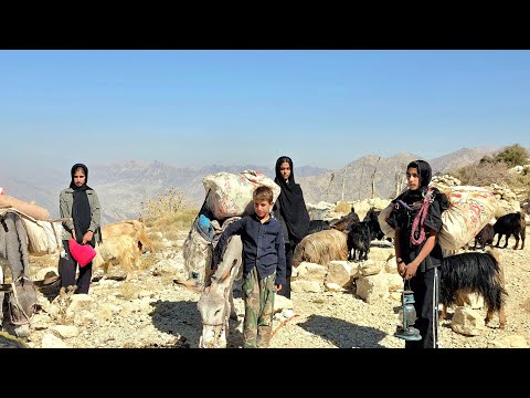 The Great Migration of Iran’s Nomads: Nomadic Girls Begin