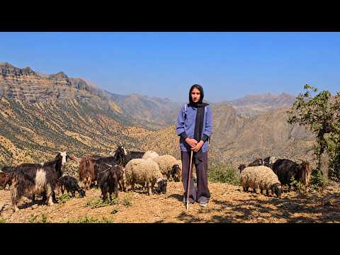 The cave life of a young nomadic girl: Shepherding in the