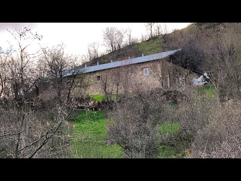 Dağ Köyünde Hayvanlarımla Aradığım Gerçek Huzuru Buldum