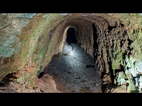 Gold Mines In The Dawson Forest, North GA