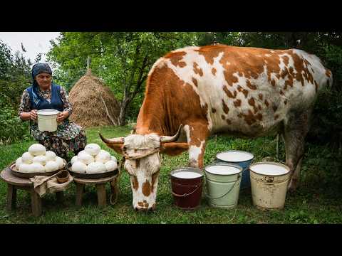 Making Fresh Village Cheese A Simple Farmhouse Lunch