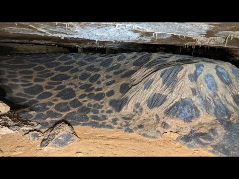 Cave With Amazing Formations - Anderson Spring Cave