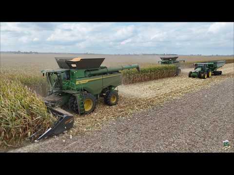 Harvesting Corn near Delphi Indiana Wise Farms