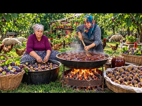 Köy Yaşamı İlk İnçir Hasadı İnçir Reçeli Yapımı Geleneksel