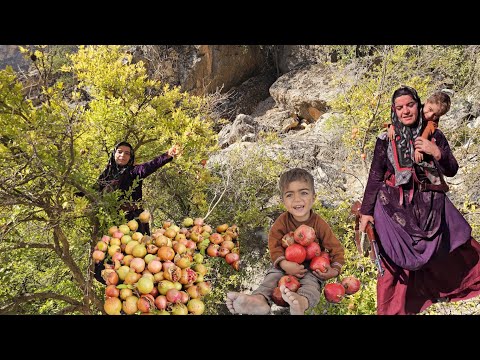 A nomadic woman: picking pomegranates in the mountains by a