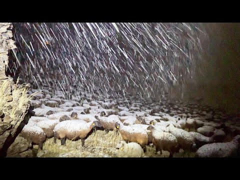 GECE VE KAR FIRTINASI - KAYANIN DİBİNDE YATARAK KORUNUYORUM