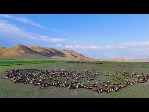 TERK EDİLMİŞ KÖYLERİN ARASINDAN YÜKSEK DAĞLARA DOĞRU