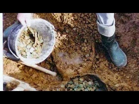 Ormanın Ortasına gizlenmiş Büyük Define özel çekim 25