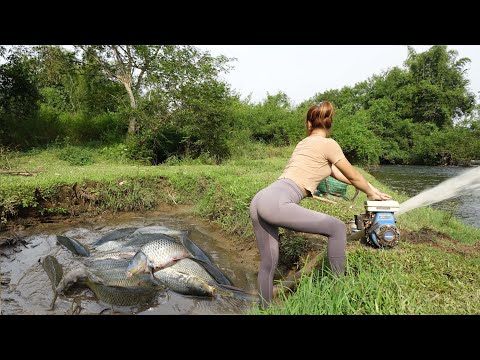 Top Video Fishing: Catching Big Fish In The Lake, Go To