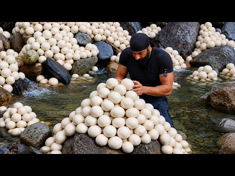 I set it up once, and kilos of fish come in every day