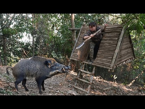Build tree shelters, to prevent wild animals from