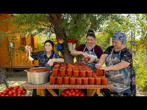Harvesting Fresh Tomatoes & Preserving Them for Years! (No