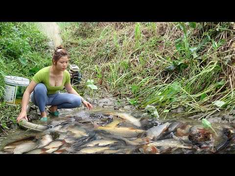 Fishing techniques - Catching Fish With Pump, Harvesting