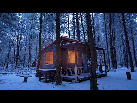 6 months building cabin in the woods, off grid house start