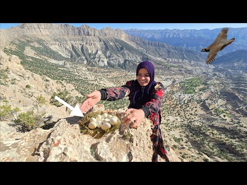 Kulthum's exciting journey to the mountains: seeing quail