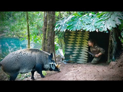 Found wild boar tracks, built emergency shelter, a