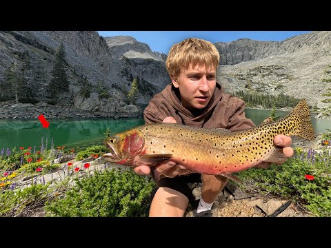 ALPINE Mountain Fishing Adventure - Cutthroat Trout, Hiking